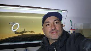 PESCA URBANA - Cristian Malloni está en vivo