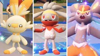  DO THIS To Get Shiny Cinderace & Scorbunny EASY!