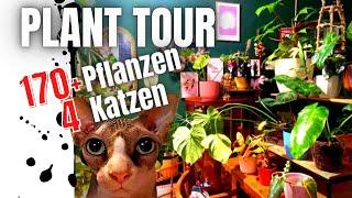 Pflanzen ROOM TOUR 2022 - Urban Jungle wie im Gartencenter mit 170+ Zimmerpflanzen in einer Wohnung