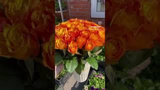 Санкт-Петербург.  База цветов Зеленый опт.  #цветы #букет #15 роз #25роз #51роза #101роза