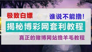 揭秘网赌，最新博彩网套利，真正博彩网套利方法，赌博网站撸羊毛，网赚网络赌博套现，能不能上岸靠你自己的控制力，2022年靠谱的网赚。