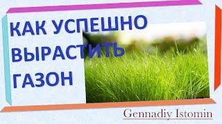 Как успешно посадить и вырастить газон - Без проблем