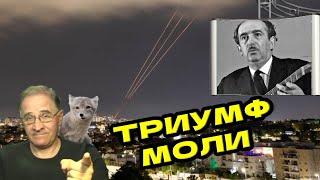 Триумф моли | Новости 7-40, 6.8.2024