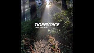 TIGERVOICE - Feel The Thunder (Music Video)