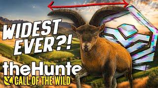 This Diamond is WAY MORE RARE Than a Great One?!.. | Call of the Wild