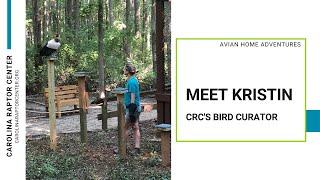 Meet Kristin - Carolina Raptor Center's Bird Curator