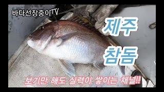 제주 타이라바 빠가 전문 믿고 보는 바다선장중이 보고만 있어도 실력이 느는 채널 - jeju tairubber fishing, jeju skipper.