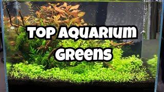 11 Best Aquarium Carpet Plants 