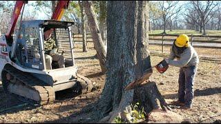 Cutting down hazardous trees