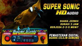 CILILIN JERNIH‼️super sonic mastering digital suara panjang dan nembus