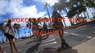 Koko Boy Koko Boy’s Point of View episode 3 - Waikiki. #kokoboyhawaiianadventure