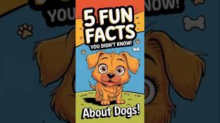 Dogs Funfacts