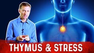 Dr. Berg Talks About Thymus Gland, Stress and Immune System