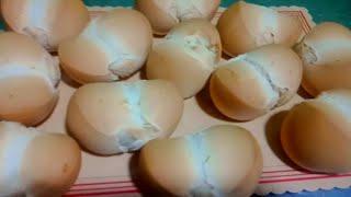 The Best Ramona Elorde Bread Recipe | Perfect Monay Putok Bread Recipe