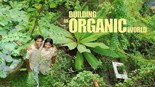 How this young couple is pioneering organic farming in Kerala