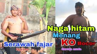 Naga hitam VS serawah fajar || perang paguyuban garuda muda VS fajar timur