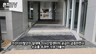 서울 상가 공실, 가산 지식산업센터 망한 이유