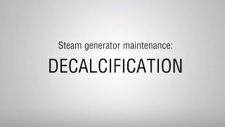 Decalcifying Steam Generator STN