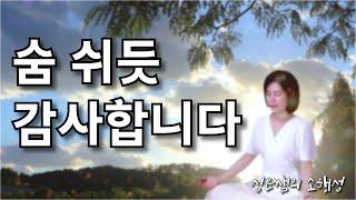 매일 감사로 행복을 채우는 법 - 삶을 바꾸는 감사 명언 50선 / 마음을 편안하게 하는 명상의 말씀