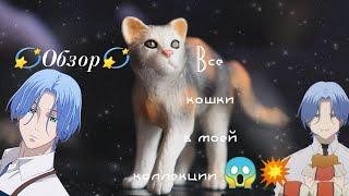 || ОБЗОР || КОЛЛЕКЦИЯ домашних кошек || 