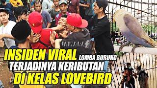 LAGI VIRAL ! INSIDEN LOMBA BURUNG BERKICAU TERJADINYA KERIBUTAN SALING BAKUHANTAM DI KELAS LOVEBIRD