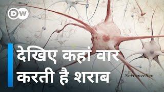 ये देखने के बाद शायद आप शराब को छुएं भी ना [How alcohol affects our body?]