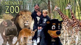 They let us ride a BLACK BEAR at the Zoo!?! KID FUN/CINCINNATI /FIONA /ANIMALS/HIPPO/LION/KANGAROO
