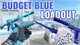 The BEST BUDGET CS2 BLUE LOADOUT 2024!!!