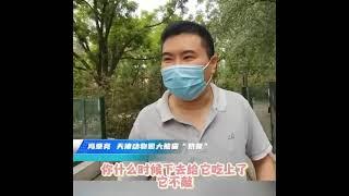 “哏儿都”熊猫喜乐有多哏儿?“奶爸”相声式吐槽。#Tianjin #panda