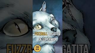 Fuzzball La gatita de Superman #DCComics #Superman #ZonaGeek