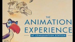 Animation Experience at Conservation Station