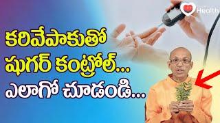 Sugar Control | కరివేపాకుతో షుగర్ కంట్రోల్.. Dr. Ch Madhusudana Sarma | TeluguOne Health