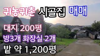 1,200평 밭이 있는 시골주택 대지 200평 건평 25평 아산에 이가격이면 ? 귀농귀촌