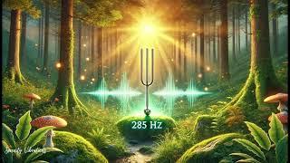 285Hz Healing Frequency: Unlock Cellular Regeneration and Boost Immunity | Meditative Relaxation