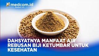 DAHSYATNYA MANFAAT AIR REBUSAN BIJI KETUMBAR UNTUK KESEHATAN