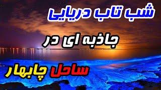 شب تاب دریایی؛ جاذبه ای که ساحل چابهار را آبی و درخشان می کند