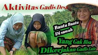 Aktivitas keseharian Neng Sherla Dan Teh Desi | Gadis Desa Cantik Dan Rajin