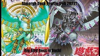 Simorgh Deck Profile (Feb 2023)