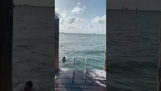 SWIMMING IN MIAMI | Taylor and Jeff