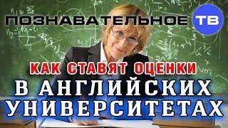 Как ставят оценки в английских университетах (Познавательное ТВ, Василий Колокольцов)