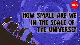 How small are we in the scale of the universe? - Alex Hofeldt