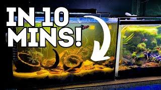 Easy Blackwater Aquarium Setup in Less Than 10 minutes!