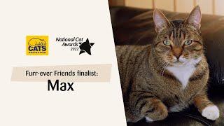 Furr-ever Friends finalist Max | National Cat Awards 2022 | Cats Protection