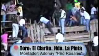 Adonay El Piro Rosales