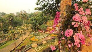 Mae Fa Luang Garden - Doi Tung - Chiang Rai Province - Thailand