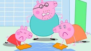 Bad Daddy Pig and Poor Mummy Pig | Peppa Pig Funny Animation
