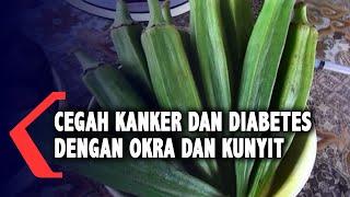 Okra dan Kunyit Jadi Obat Herbal Pencegah Kanker