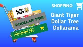 Shopping Haul~GT~Dollar Tree~Dollarama OH MY ! - 506