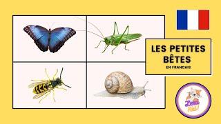 Les Insectes pour enfants - Apprendre les Noms et Bruits