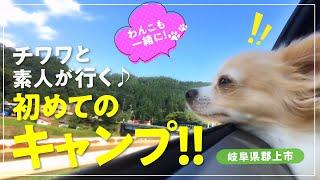 【犬とおでかけ】チワワと行く初めてのキャンプ!1日目BBQやお馬さん満喫の旅(岐阜県郡上市)